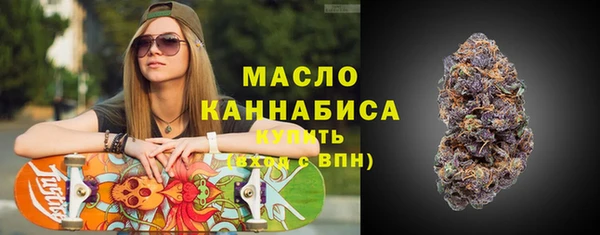 индика Бронницы