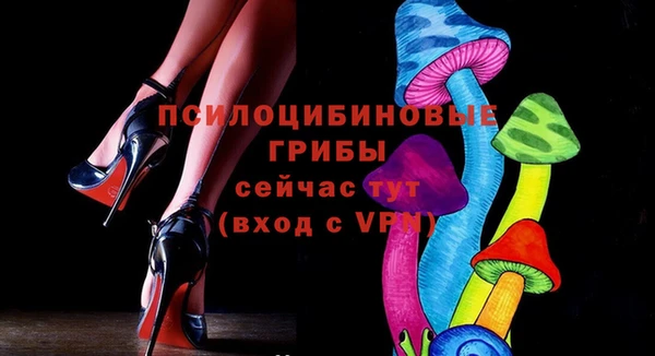 амф Бугульма