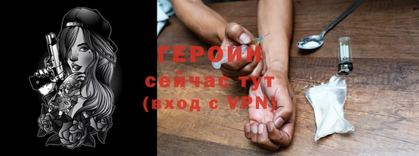 индика Бронницы