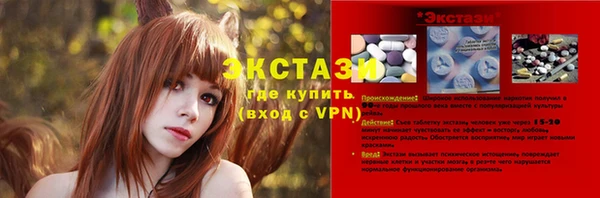 индика Бронницы