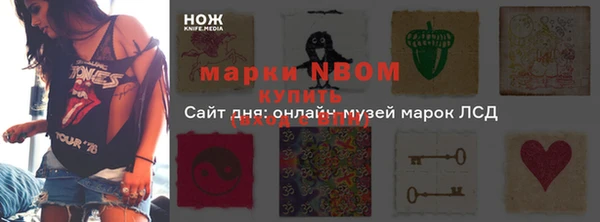 индика Бронницы