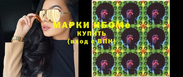 индика Бронницы