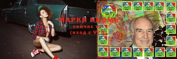 индика Бронницы