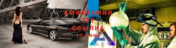 индика Бронницы