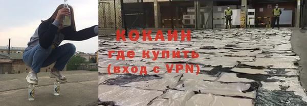 индика Бронницы