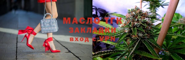 индика Бронницы