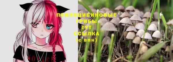 индика Бронницы