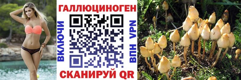 Купить где  Осташков  Галлюциногенные грибы мухоморы 